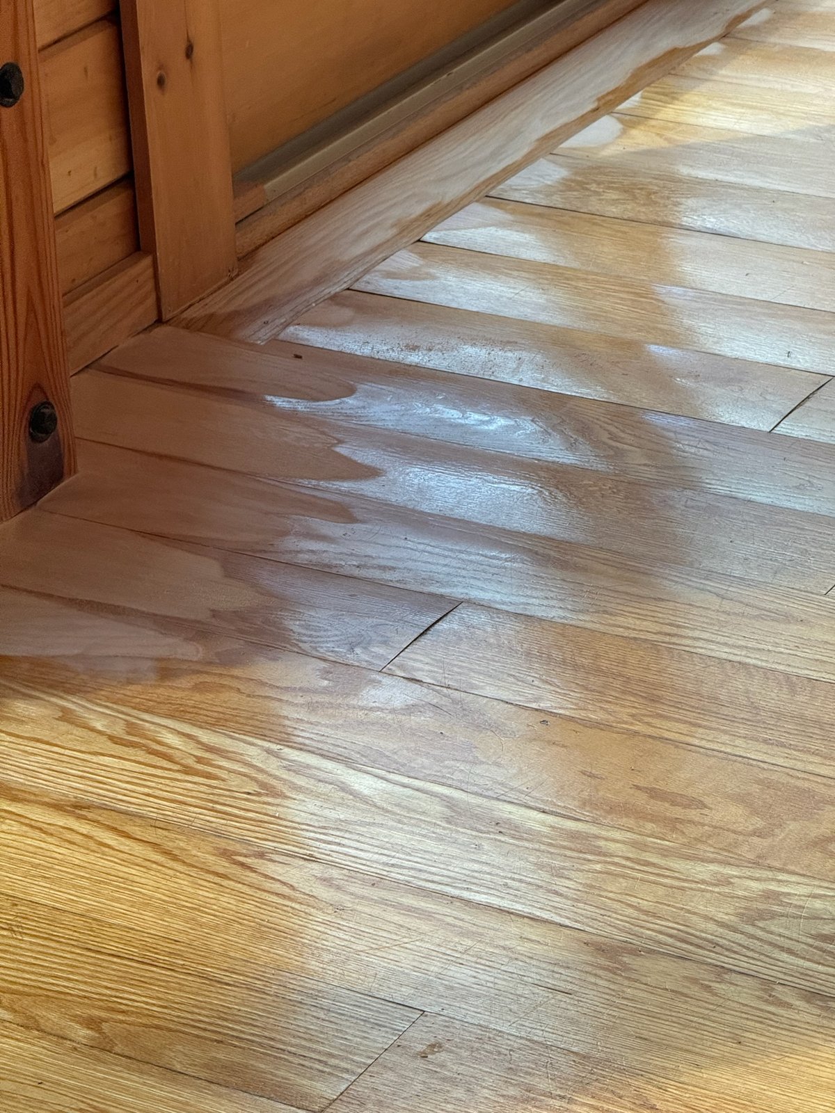 Killingly CT lake cabin — water-damaged hardwood with lighter bleached and grayish-brown discoloration spreading across the planks before restoration