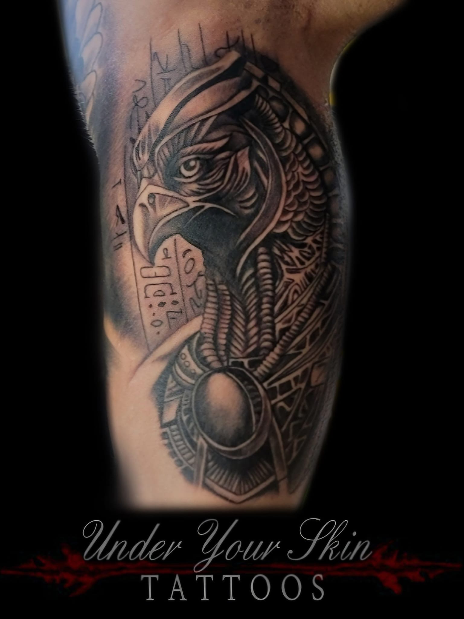 Black and grey Egyptian Horus eagle tattoo