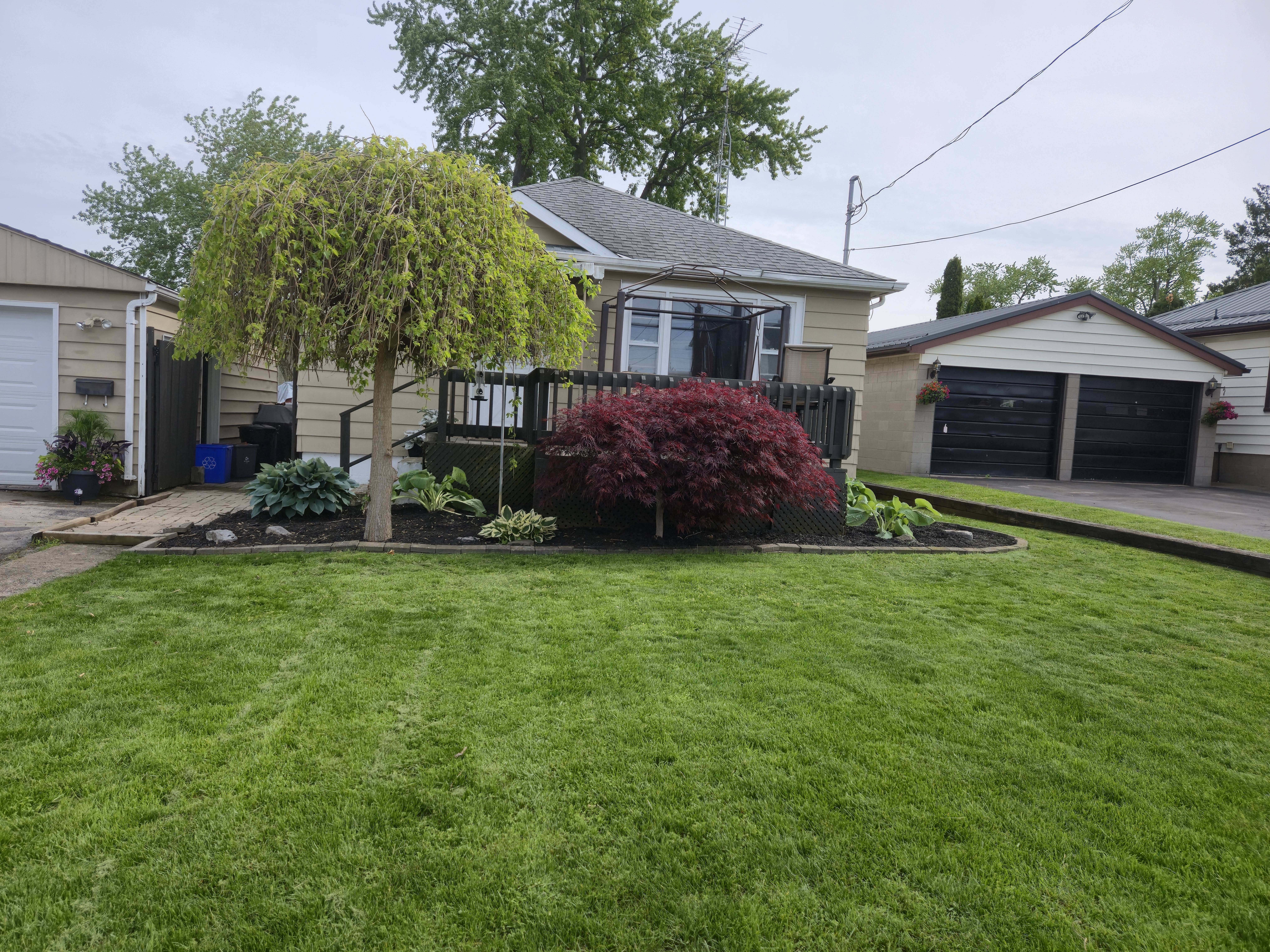 Jim Frank's landscaping project