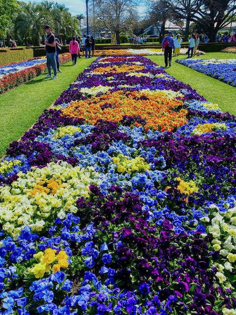 3 Day Toowoomba Carnival of Flowers Tour — photo 3