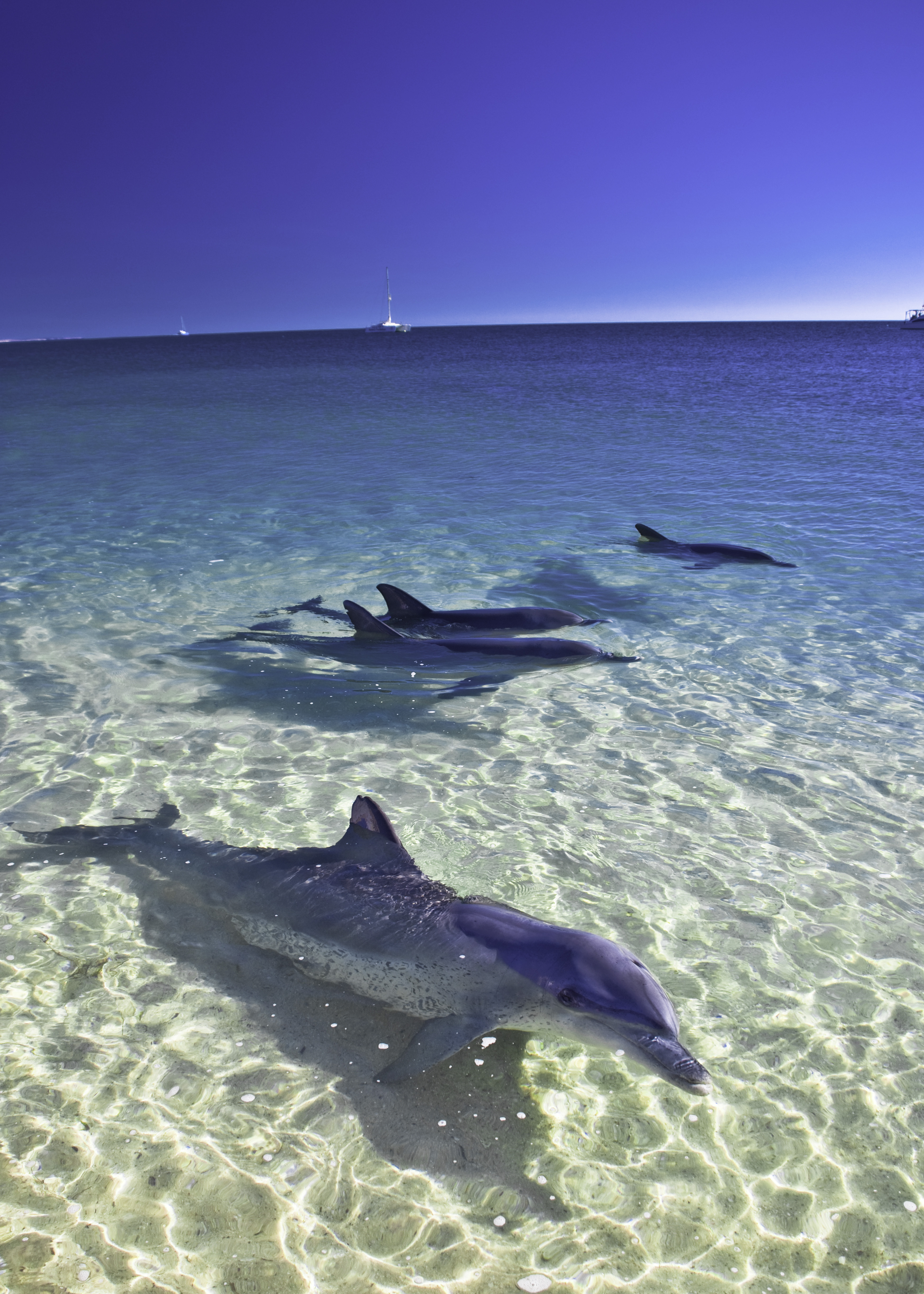 11 Day Western Australia Coral Coast & Wildflower Tour — photo 4