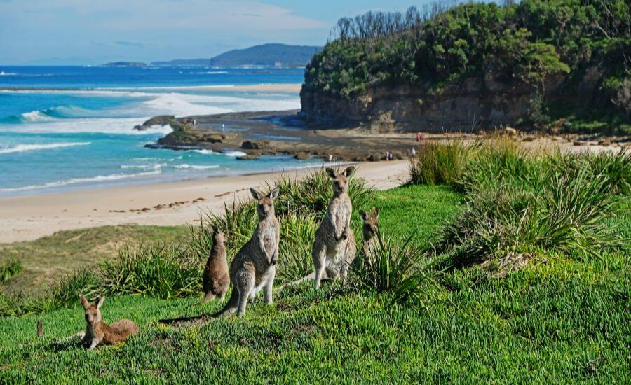 6 Day Batemans Bay & South Coast Discovery Tour