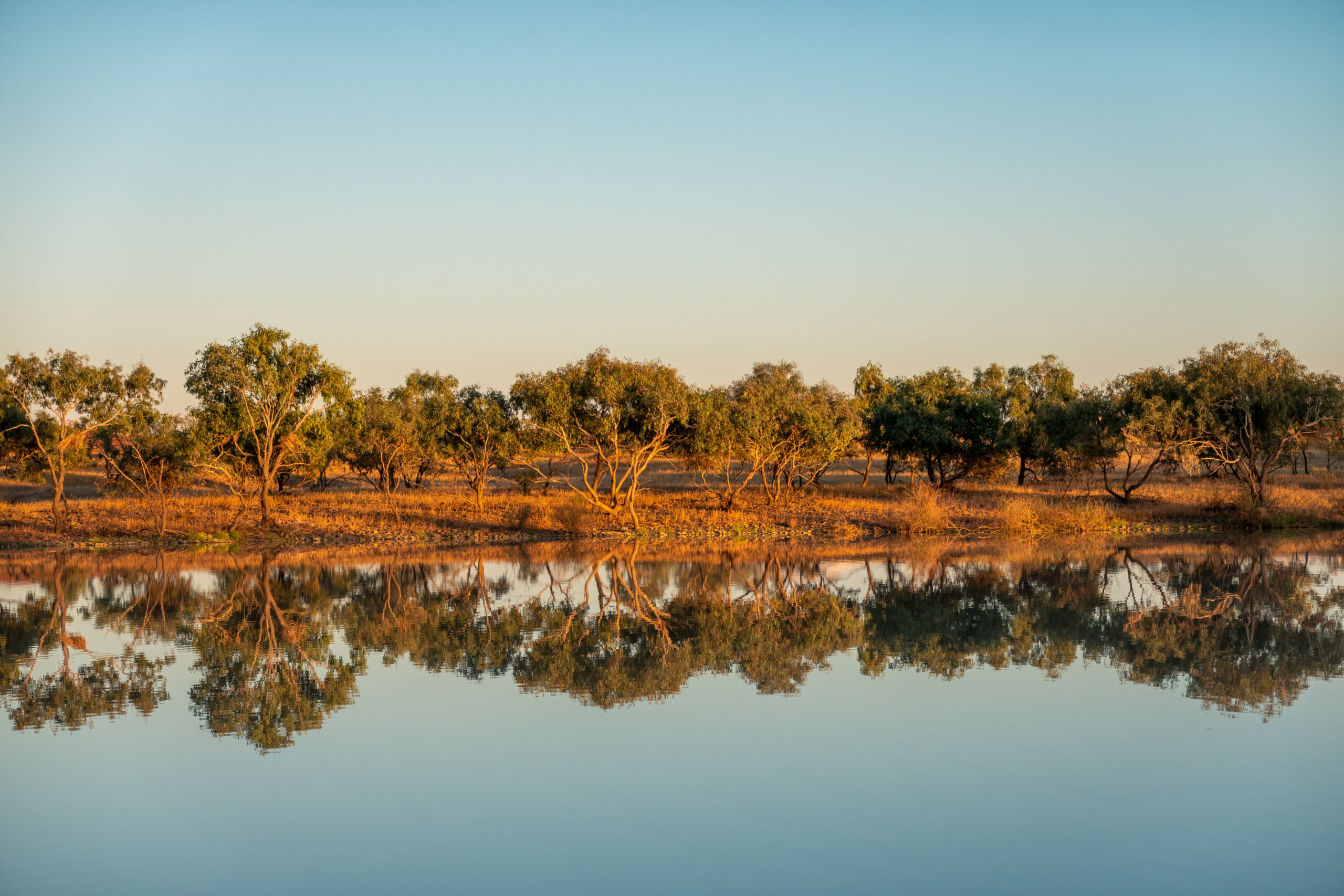 10 Day Birdsville & Outback Queensland Tour