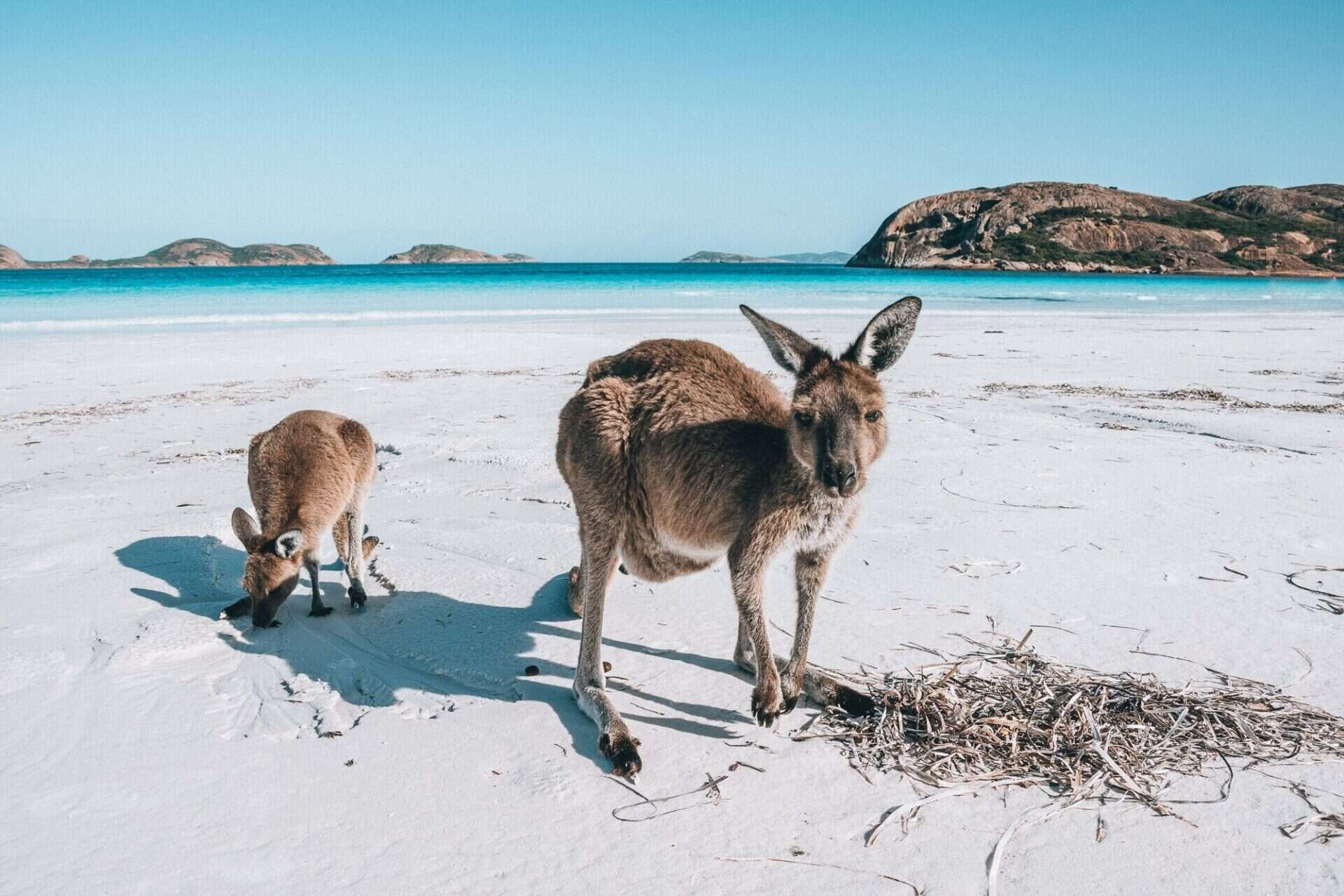 10 Day Western Australia Southern Coast & Wine Country — photo 3