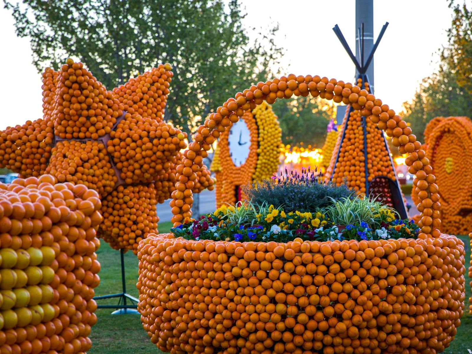 5 Day Griffith Spring Festival & Riverina Tour