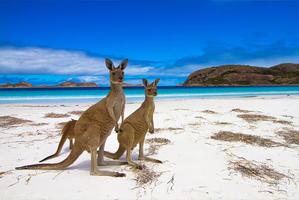 7 Day Kangaroo Island & South Australia Adventure Tour