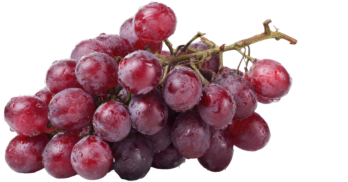 Grape