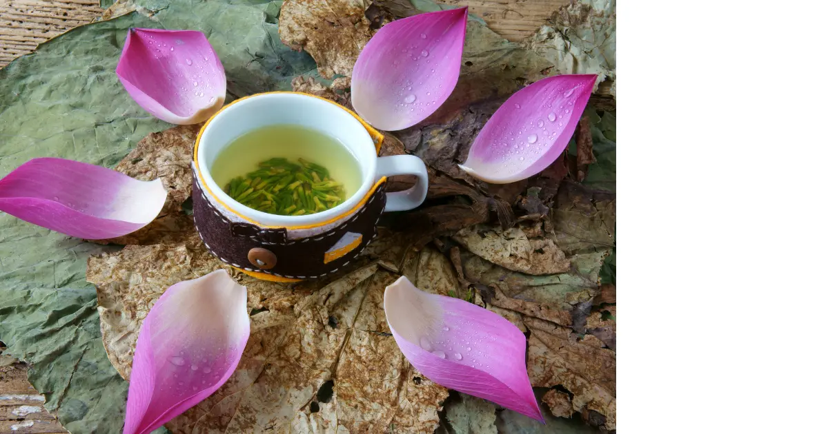 Lotus leaf tea