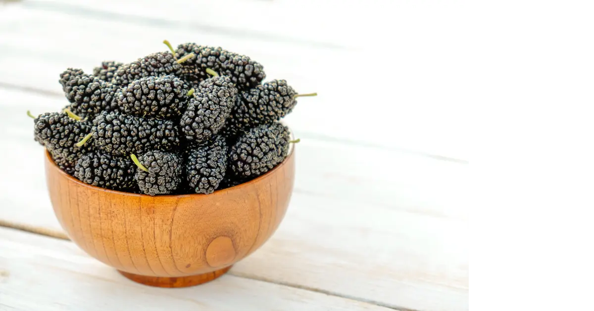 Black mulberry