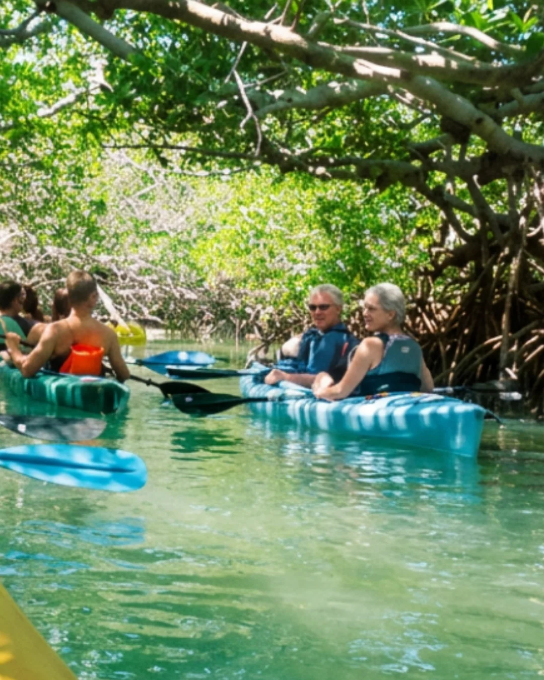 Kayaking Lido Key mangroves after acupuncture for rotator cuff pain at AcuMed Clinic Sarasota