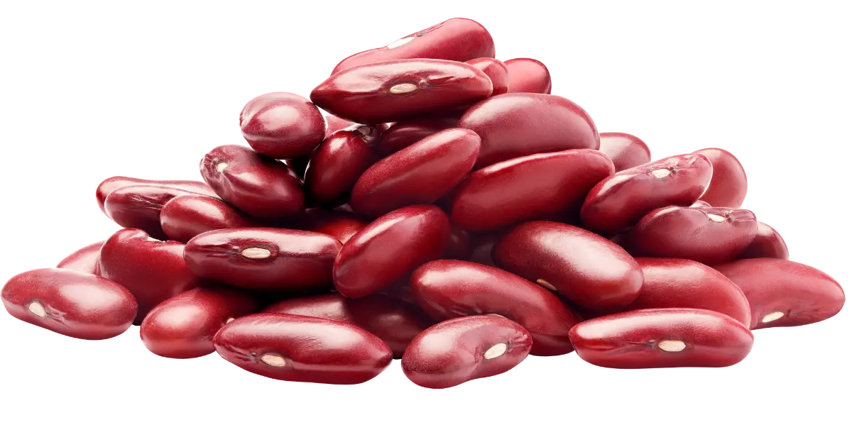 Kidney beans