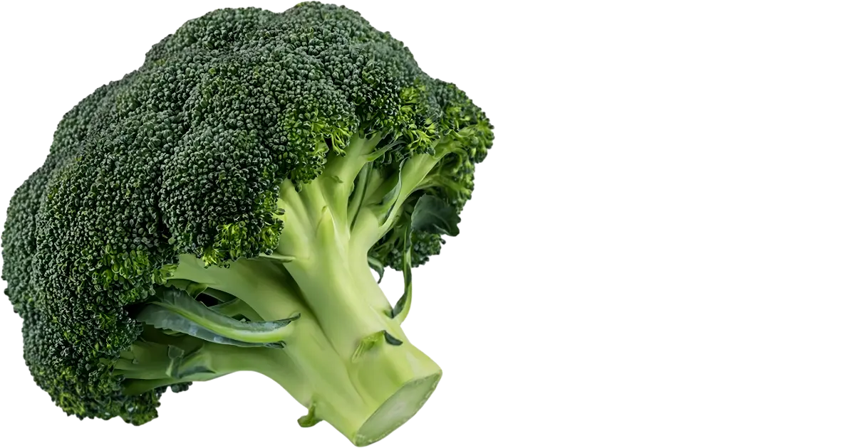 Broccoli
