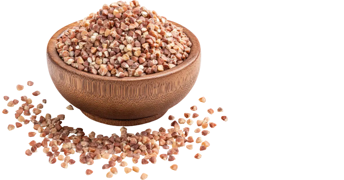 Buckwheat