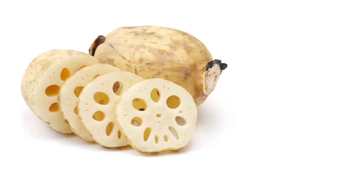 Lotus root