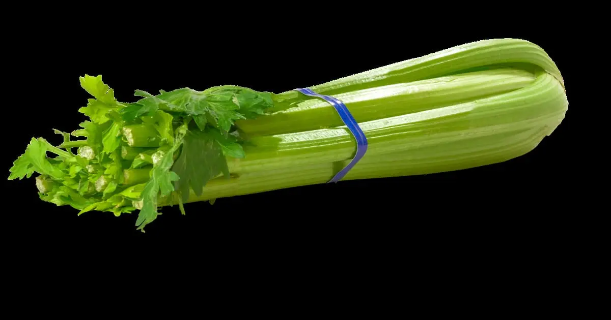 Celery