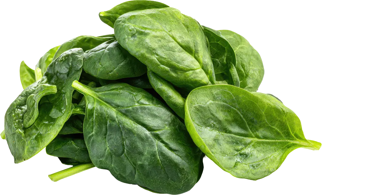 Spinach