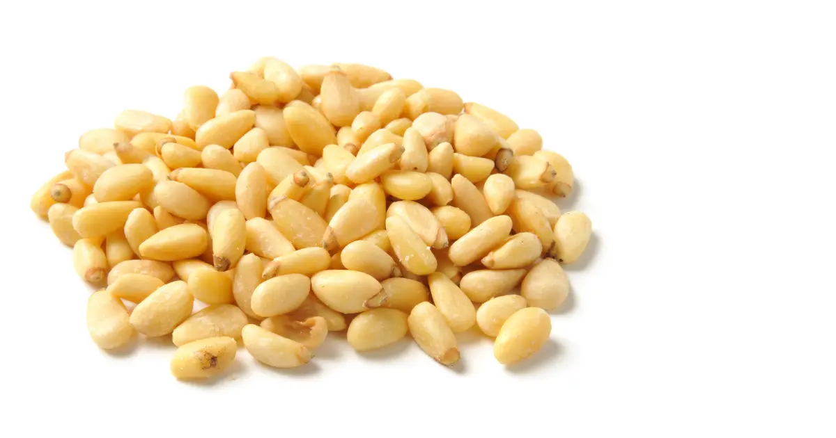 Pine nut