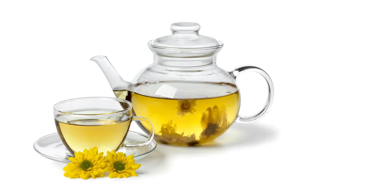 Chrysanthemum tea
