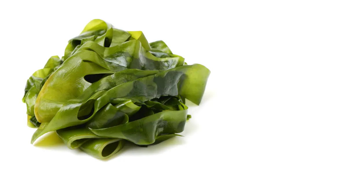 Kelp
