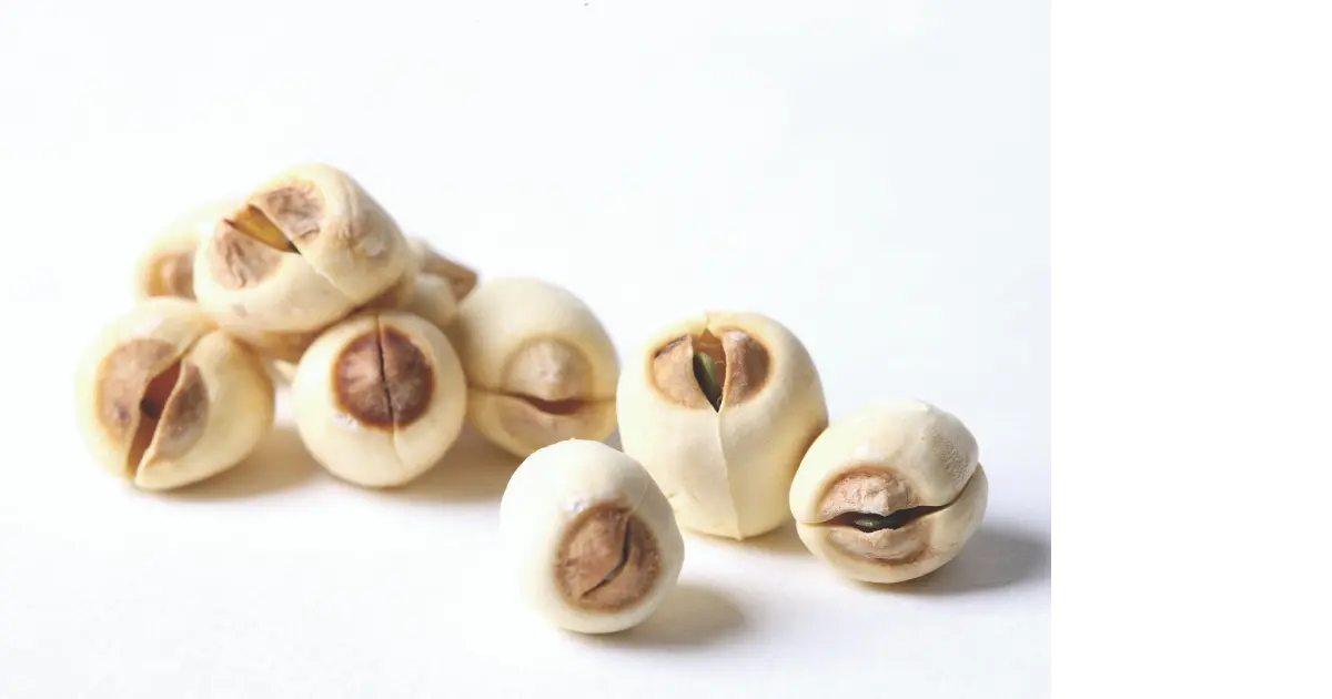 Lotus seed