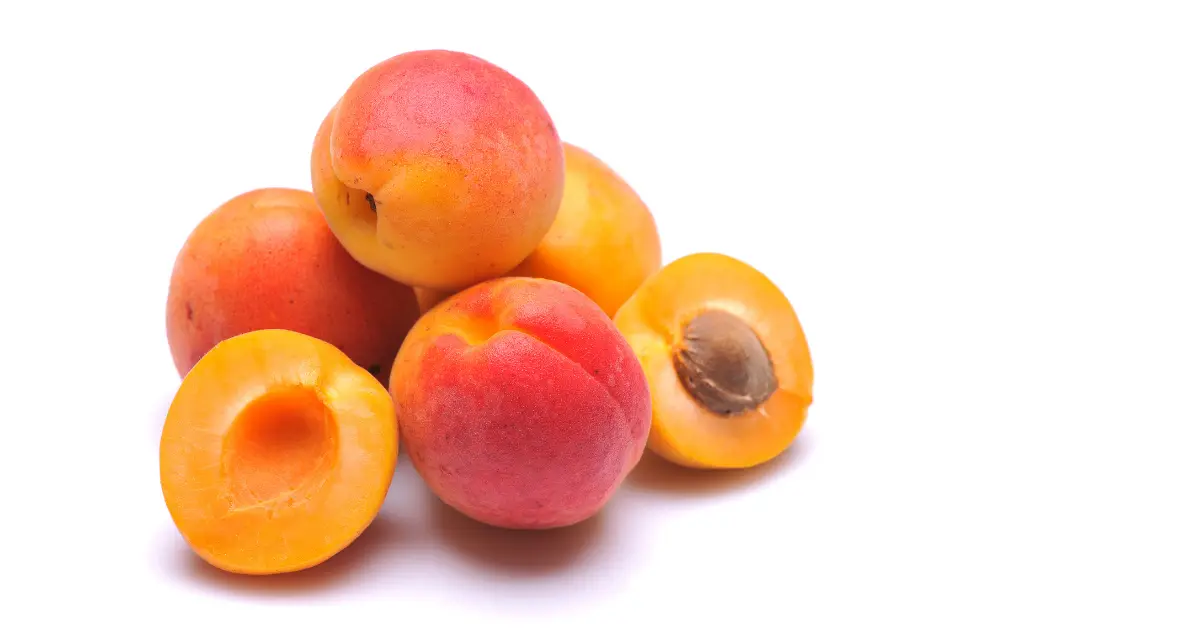 Apricot