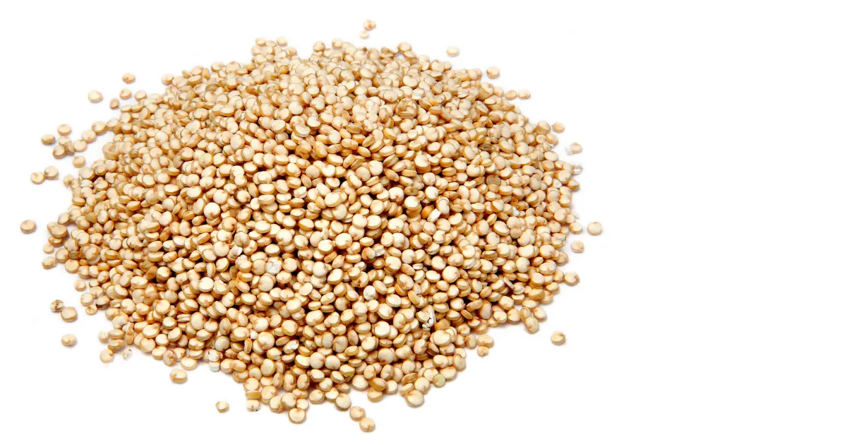Quinoa