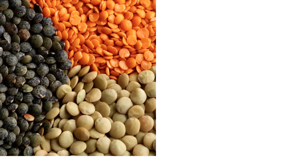 Lentils