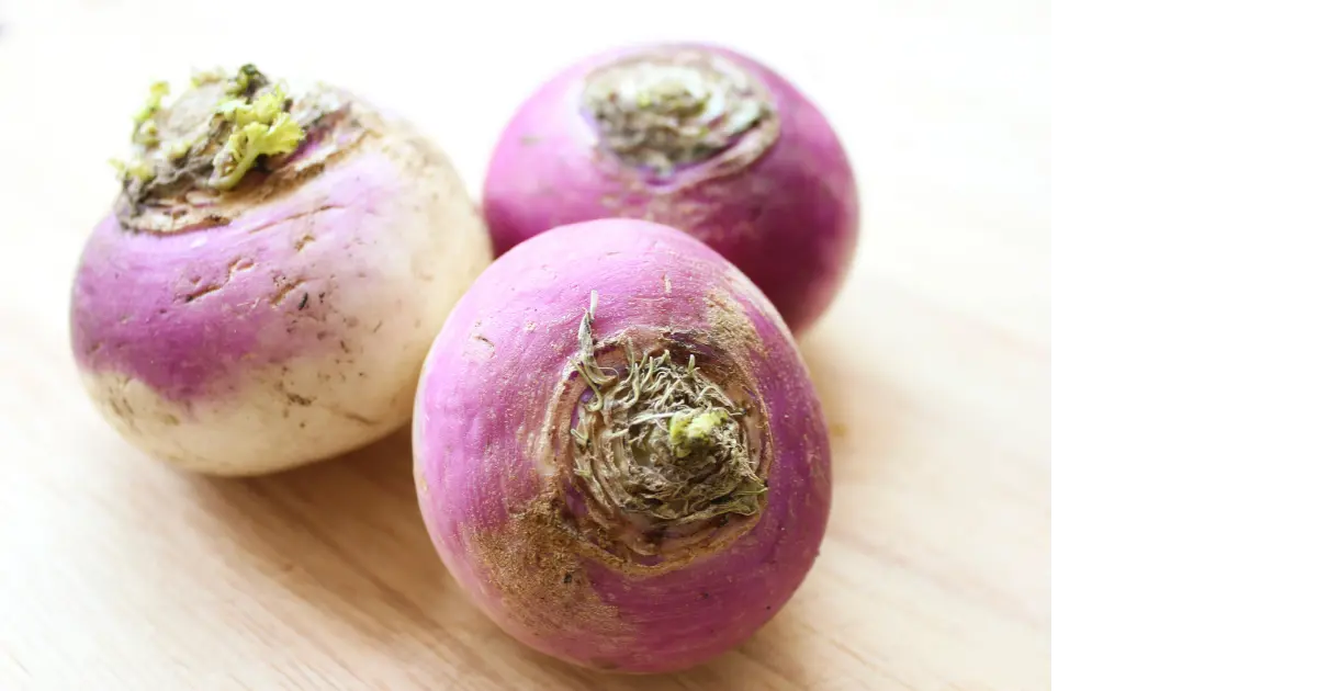 Turnip