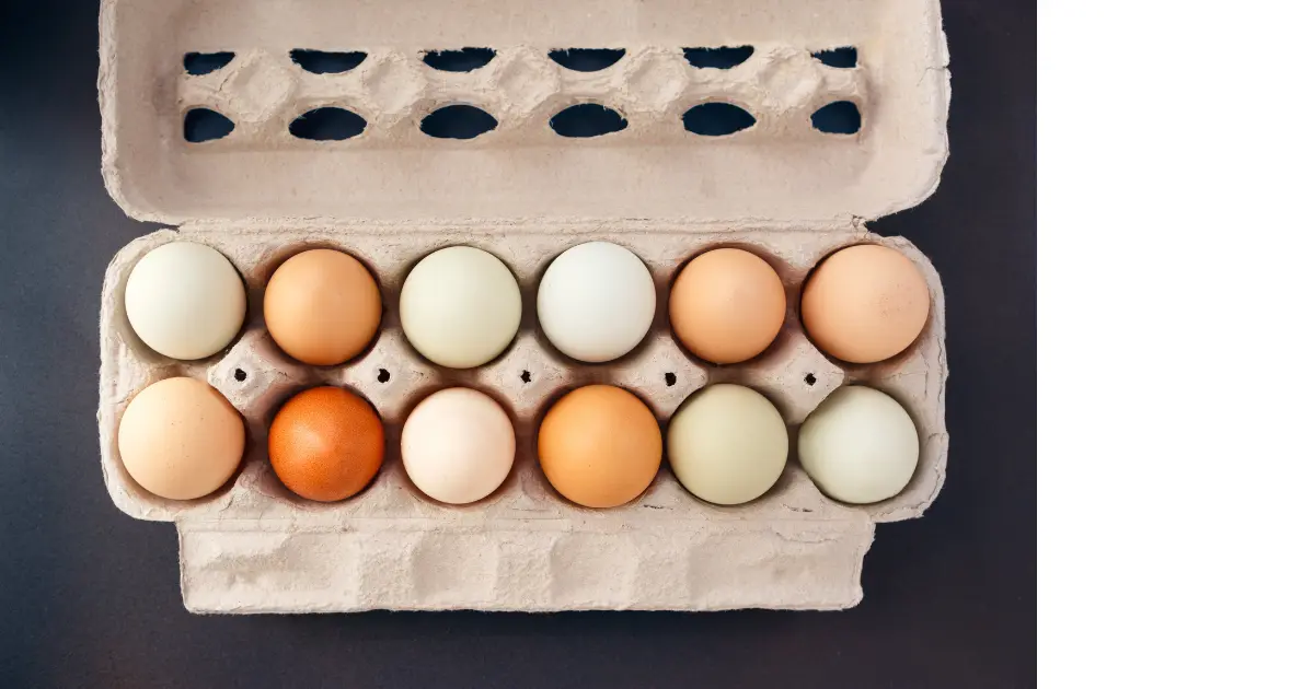 Hen's egg
