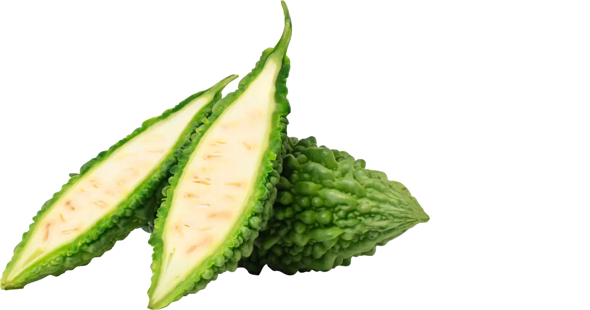 Bitter melon
