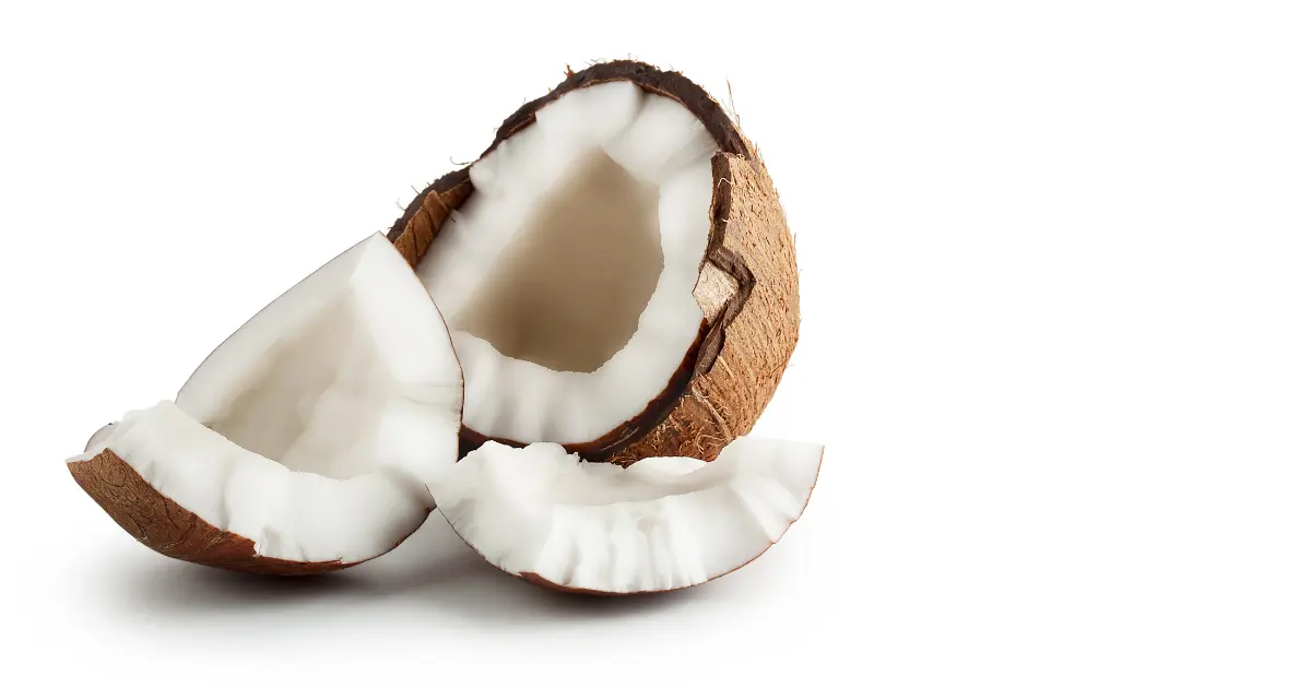Coconut