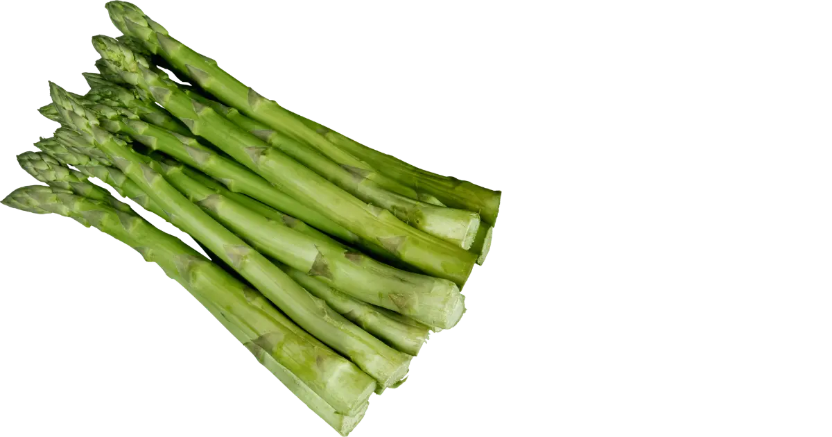 Asparagus