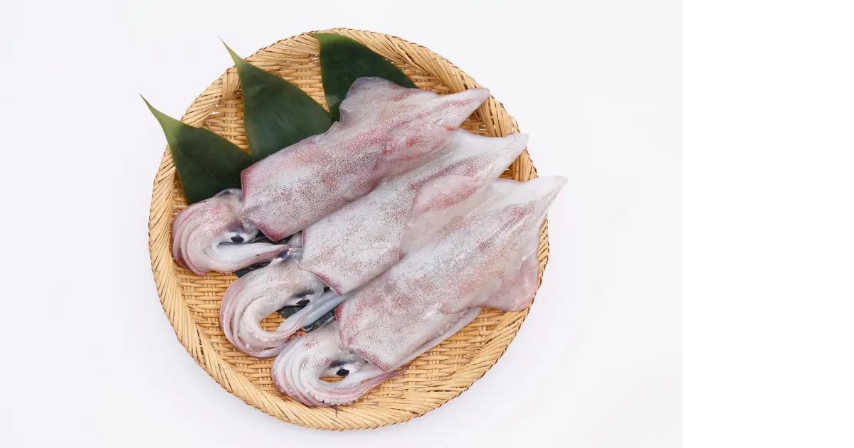 Squid