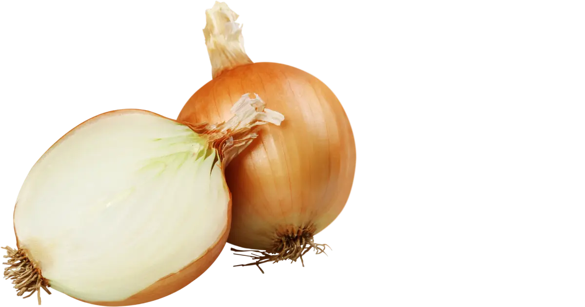Onion