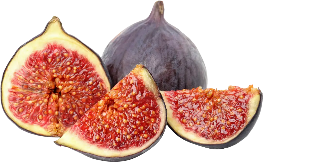 Fig
