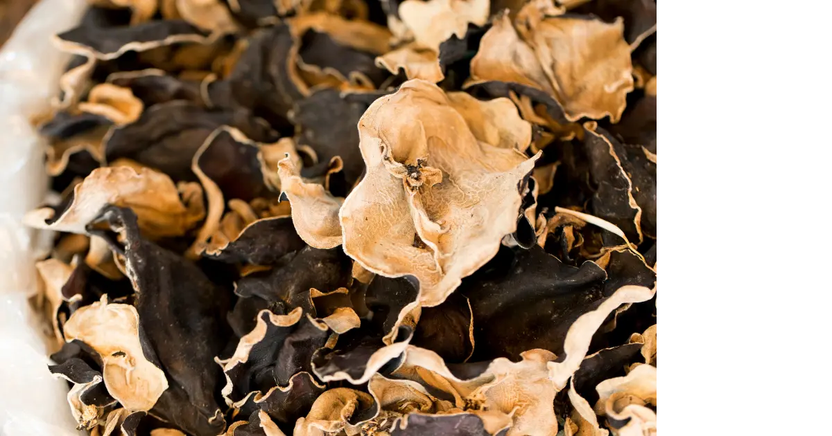Mushroom (wood ear)