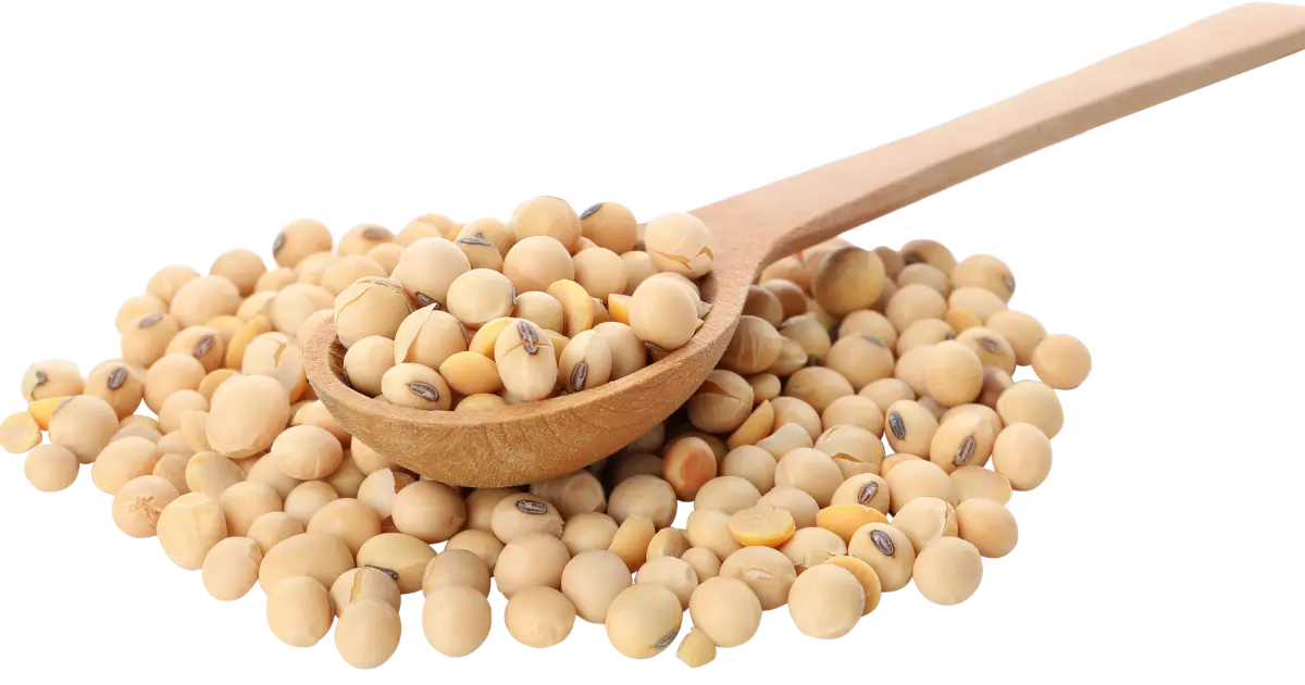 Soybeans