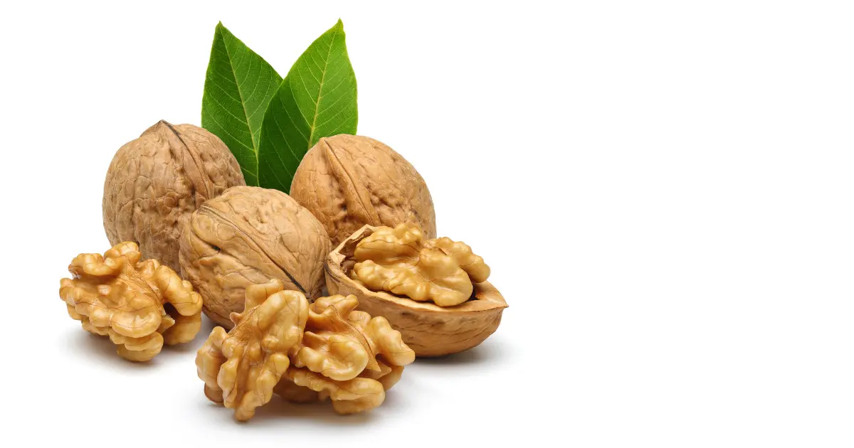 Walnut