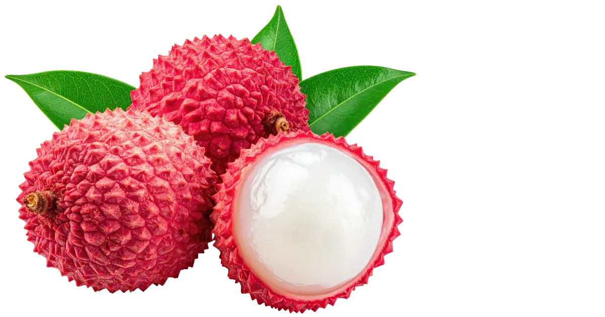 Lychee
