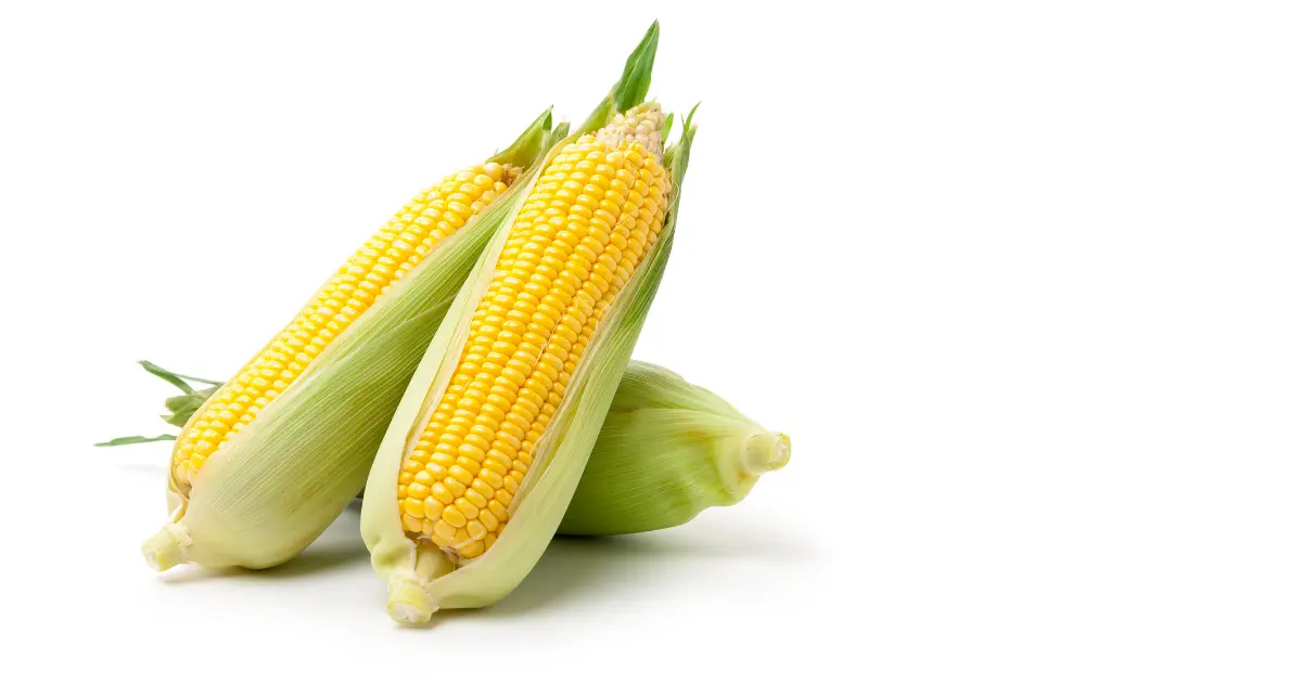 Corn