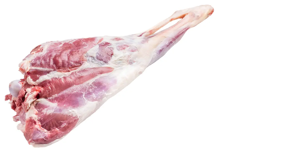 Lamb