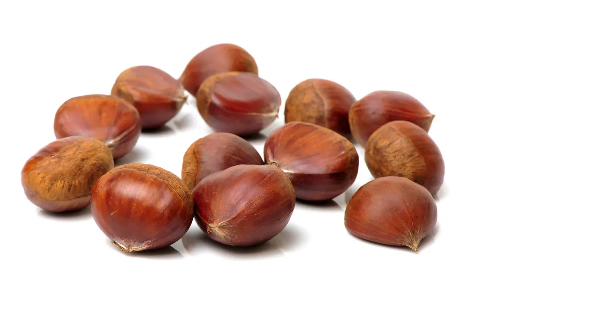 Chestnut
