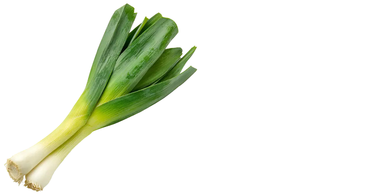 Leek