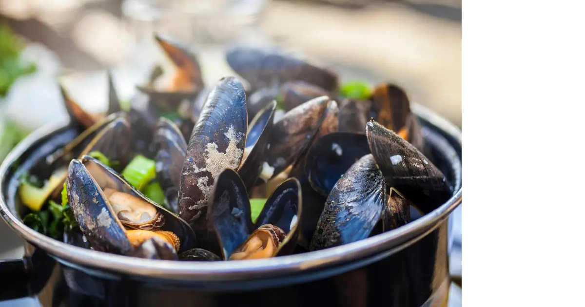 Mussels