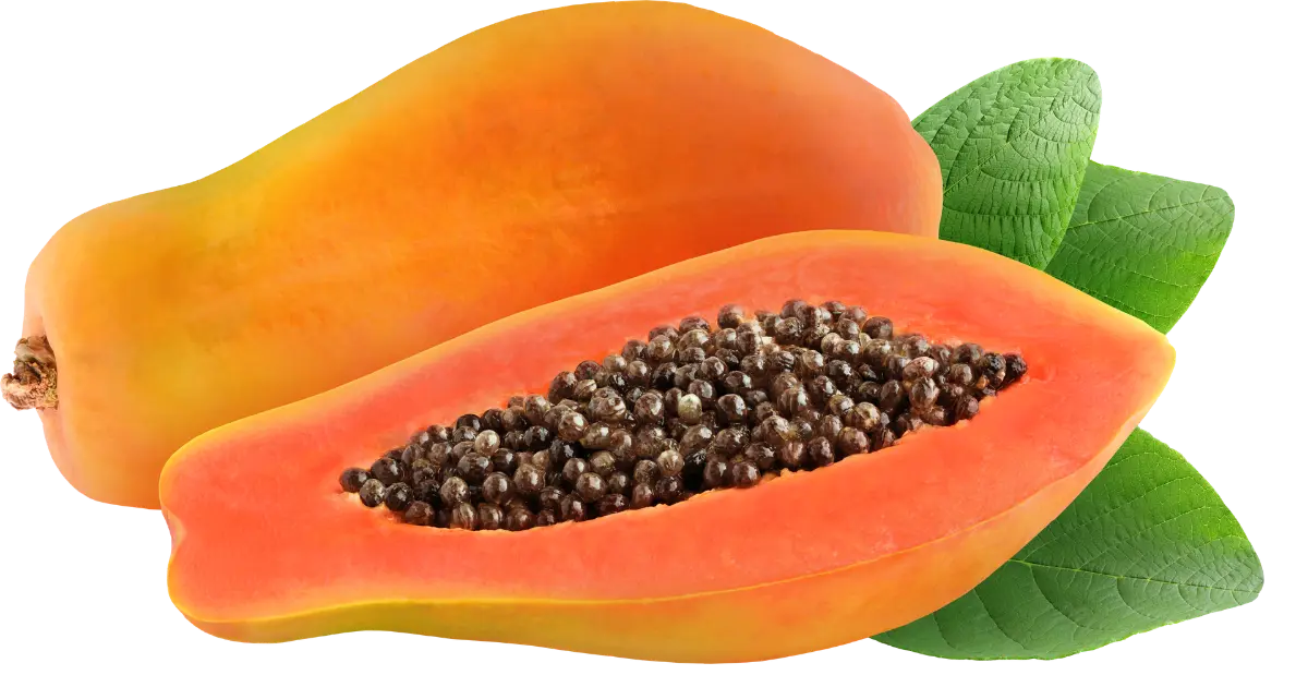 Papaya
