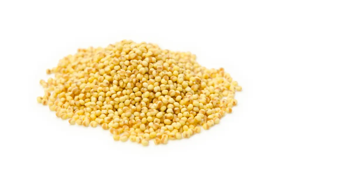 Millet