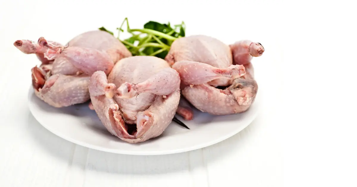 Quail