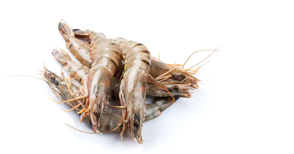 Prawn