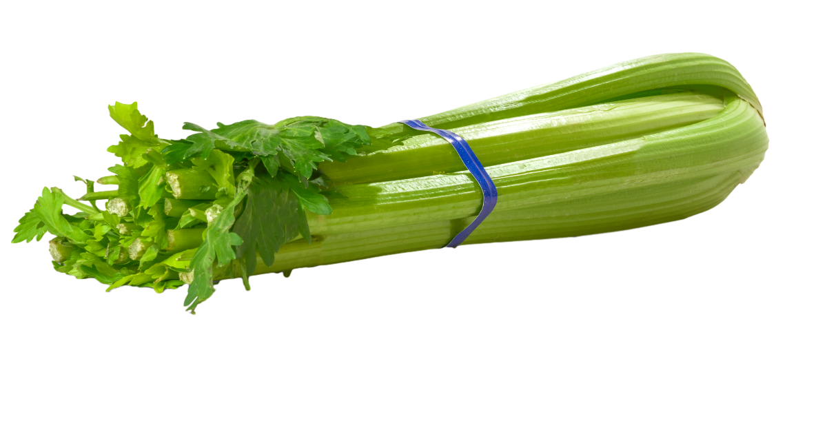 Fresh celery — a dampness-resolving food