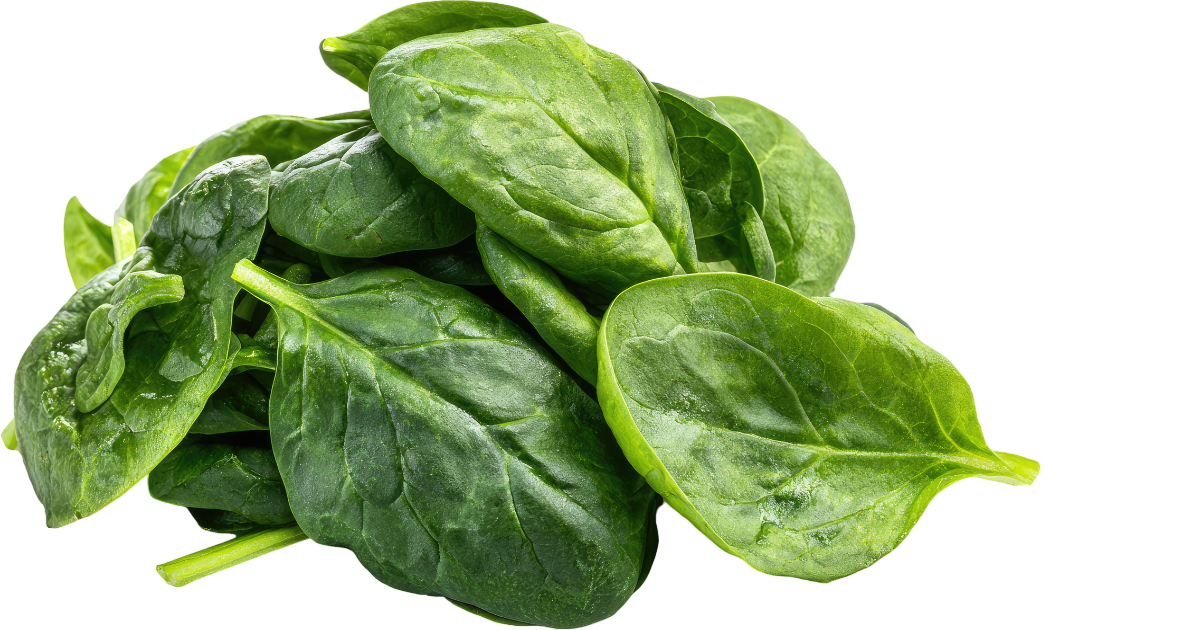 Fresh spinach — a blood tonic food